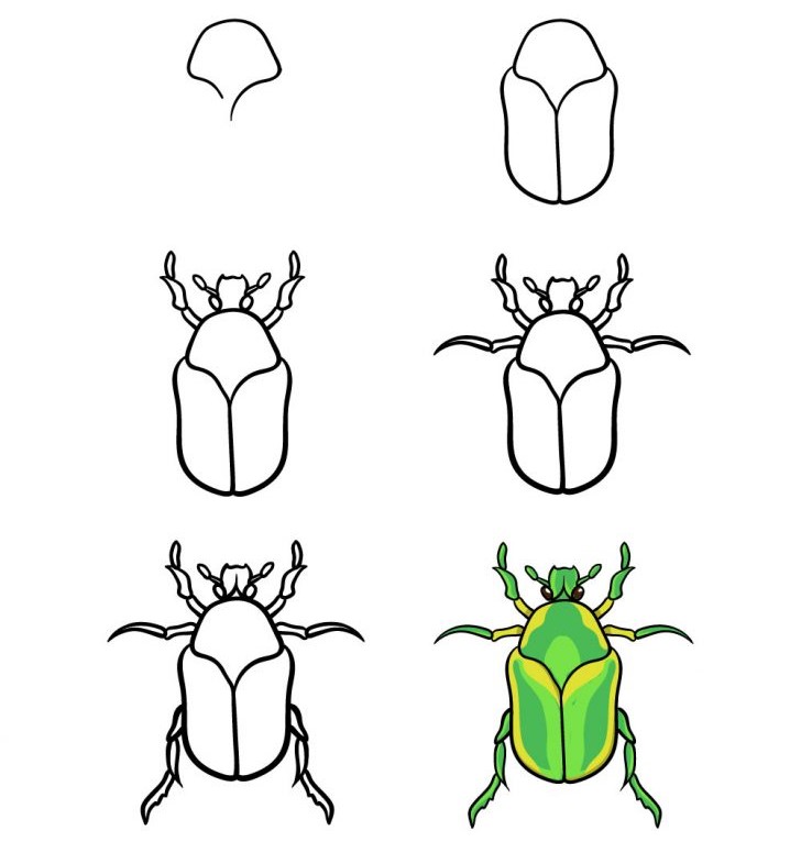 Eine Käferidee (15) zeichnen ideen