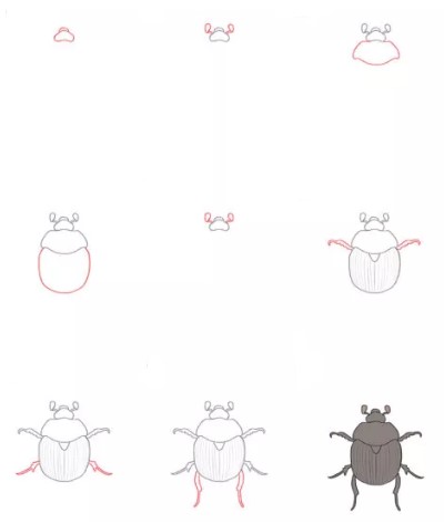 Eine Käferidee (18) zeichnen ideen