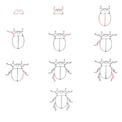 Eine Käferidee (3) zeichnen ideen