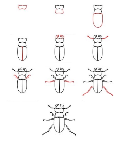 Eine Käferidee (4) zeichnen ideen