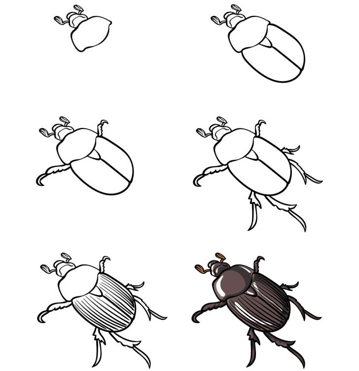 Eine Käferidee (5) zeichnen ideen