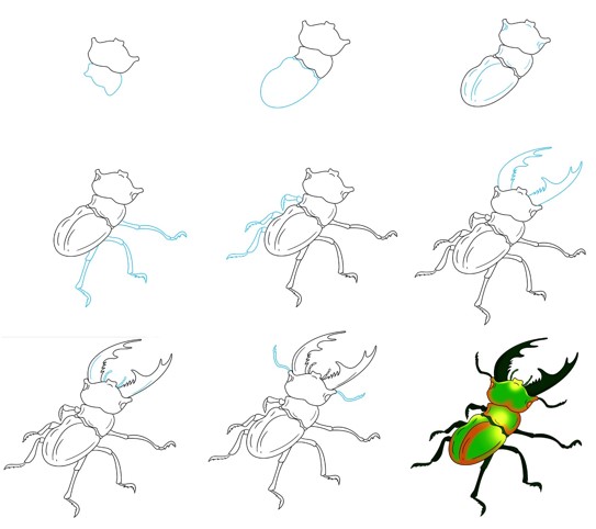 Eine Käferidee (7) zeichnen ideen