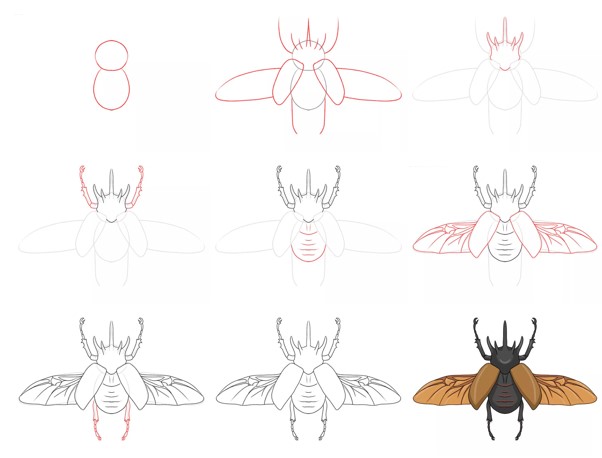Eine Käferidee (6) zeichnen ideen