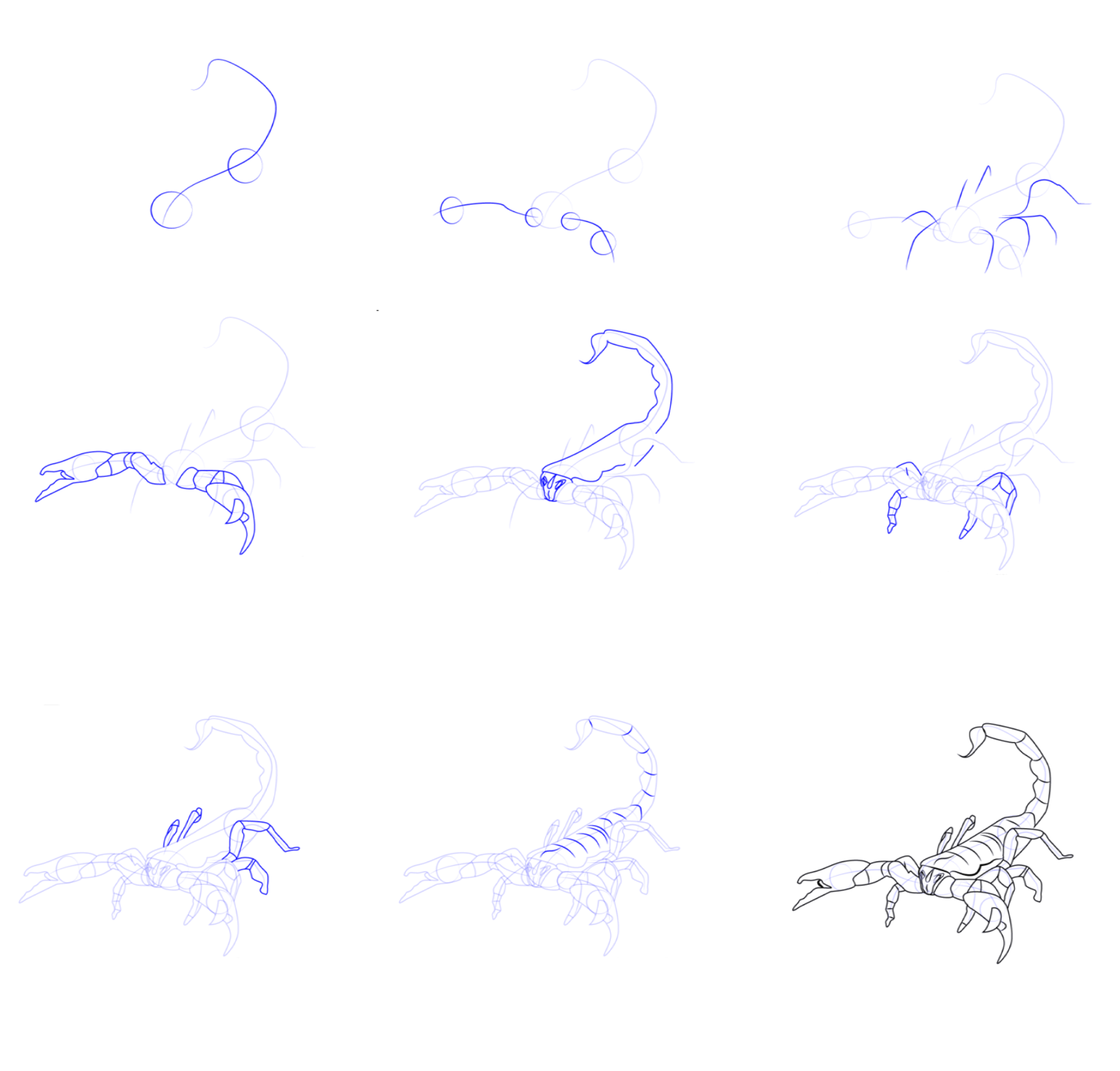 Einen einfachen Skorpion zeichnen zeichnen ideen