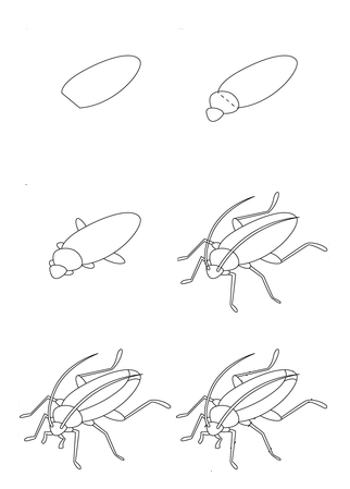 Einfache Schritte zum Zeichnen einer Kakerlake zeichnen ideen