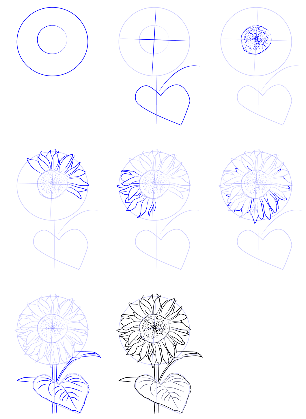 Zeichnen Lernen Einfache Sonnenblumen (2)