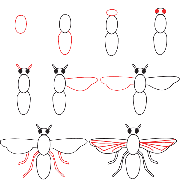 Fliege zeichnen ideen