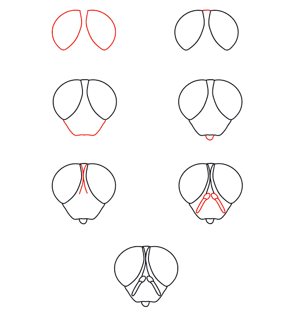 Fliegengesicht zeichnen ideen