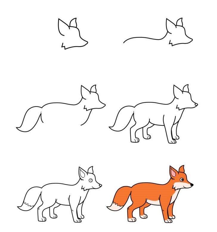 Fox-Idee (1) zeichnen ideen