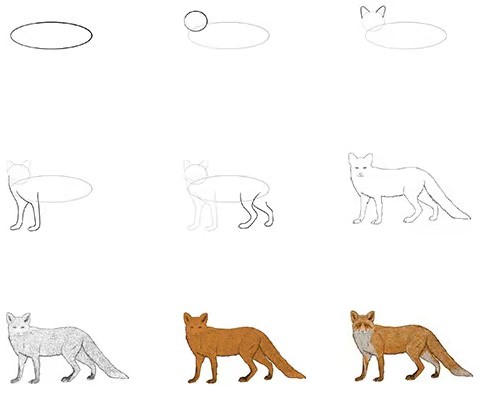Fuchs-Ganzkörper zeichnen ideen
