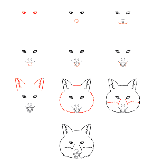 Zeichnen Lernen Fuchsgesicht