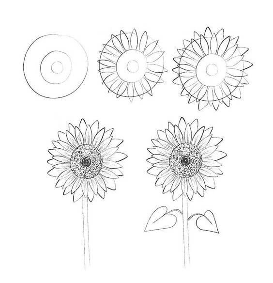 Zeichnen Lernen Idee mit Sonnenblumen (2)