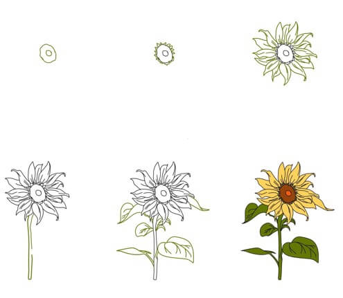Zeichnen Lernen Idee mit Sonnenblumen (23)