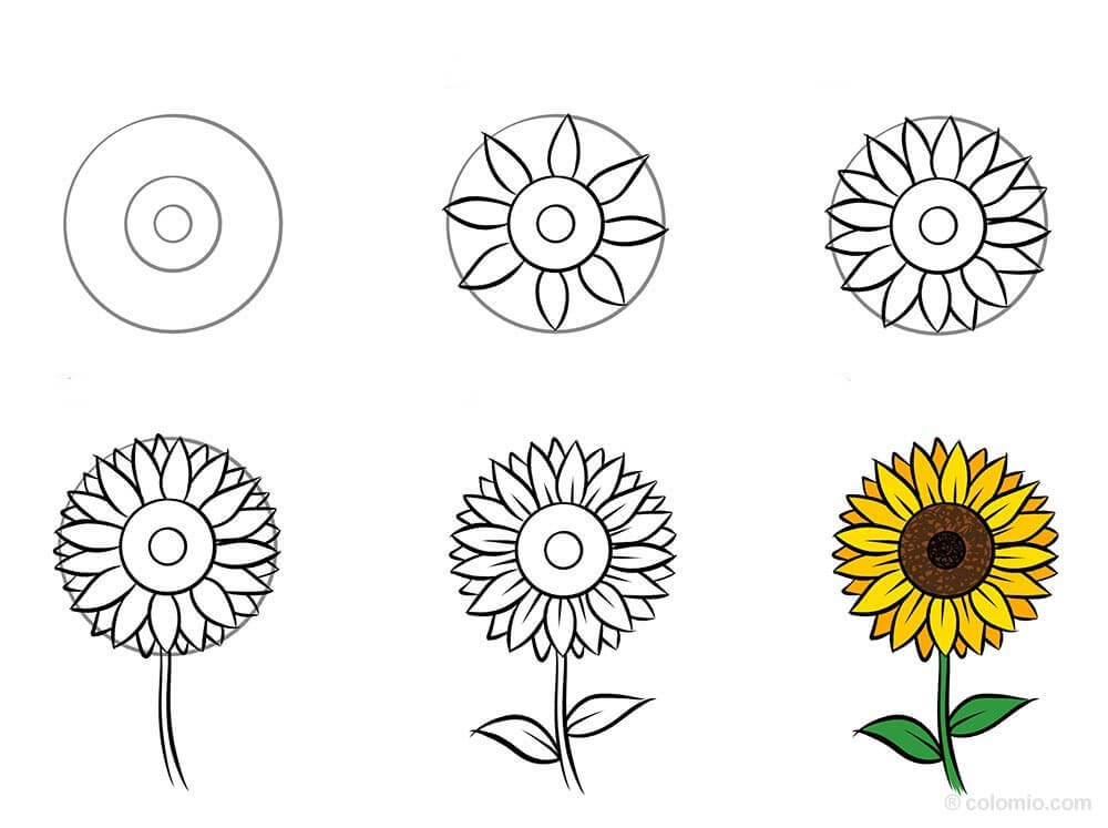 Zeichnen Lernen Idee mit Sonnenblumen (29)
