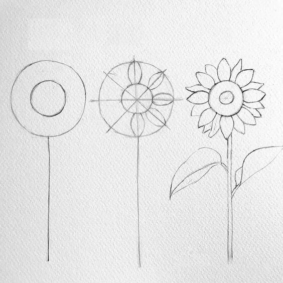 Zeichnen Lernen Idee mit Sonnenblumen (30)
