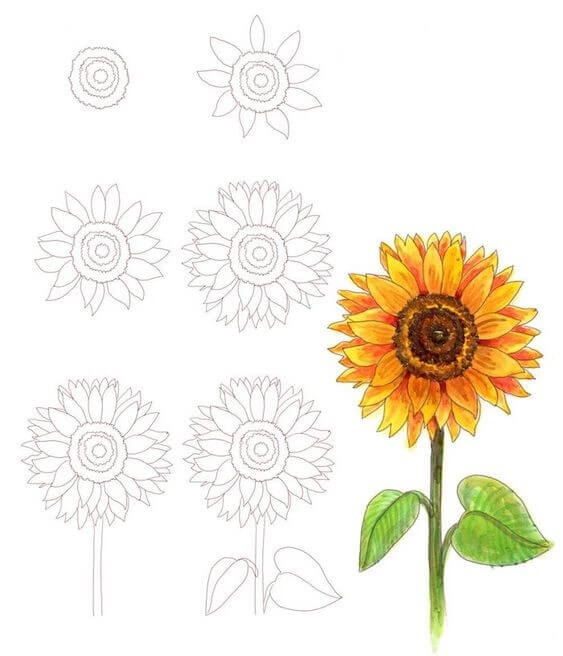 Zeichnen Lernen Idee mit Sonnenblumen (5)