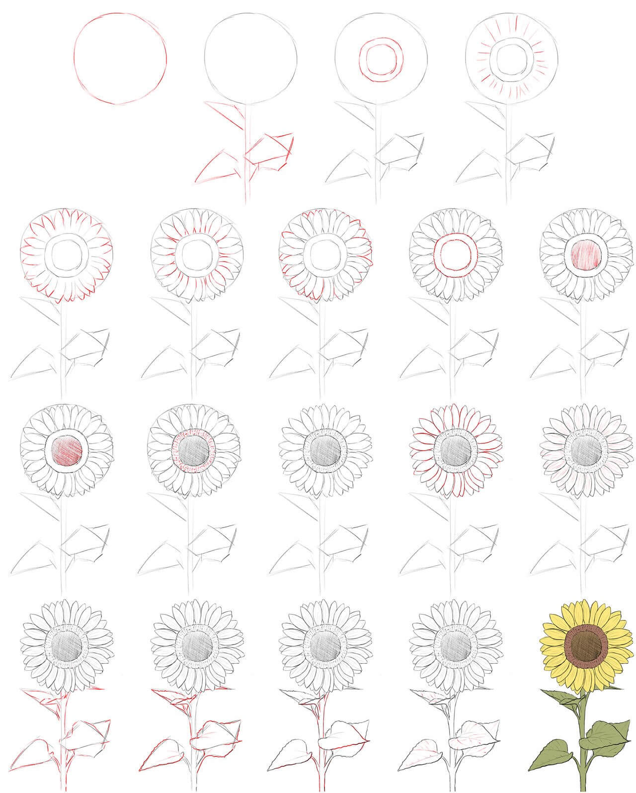 Zeichnen Lernen Idee mit Sonnenblumen (6)