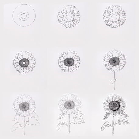 Zeichnen Lernen Idee mit Sonnenblumen (8)