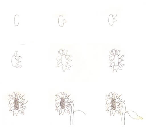 Zeichnen Lernen Idee mit Sonnenblumen (9)