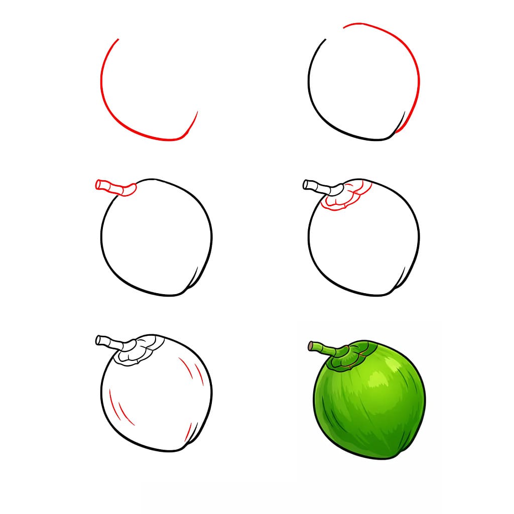 Junge Kokosnuss zeichnen ideen