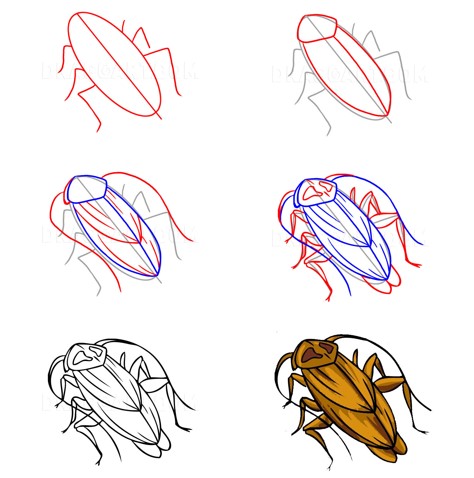 Kakerlaken-Idee (5) zeichnen ideen