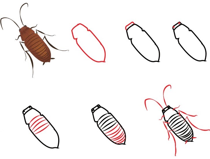 Kakerlaken-Idee (6) zeichnen ideen
