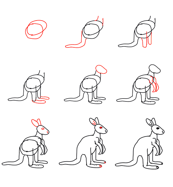 Zeichnen Lernen Känguru für Kinder (1)