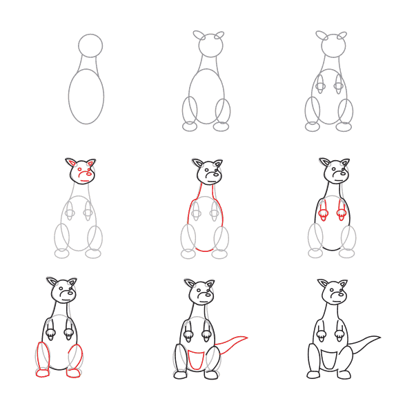 Zeichnen Lernen Känguru für Kinder (3)