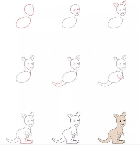 Zeichnen Lernen Känguru-Idee (1)