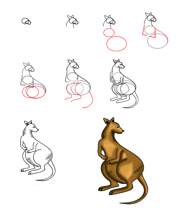 Zeichnen Lernen Känguru-Idee (11)