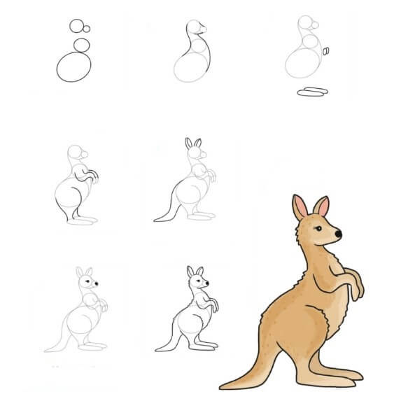 Zeichnen Lernen Känguru-Idee (13)