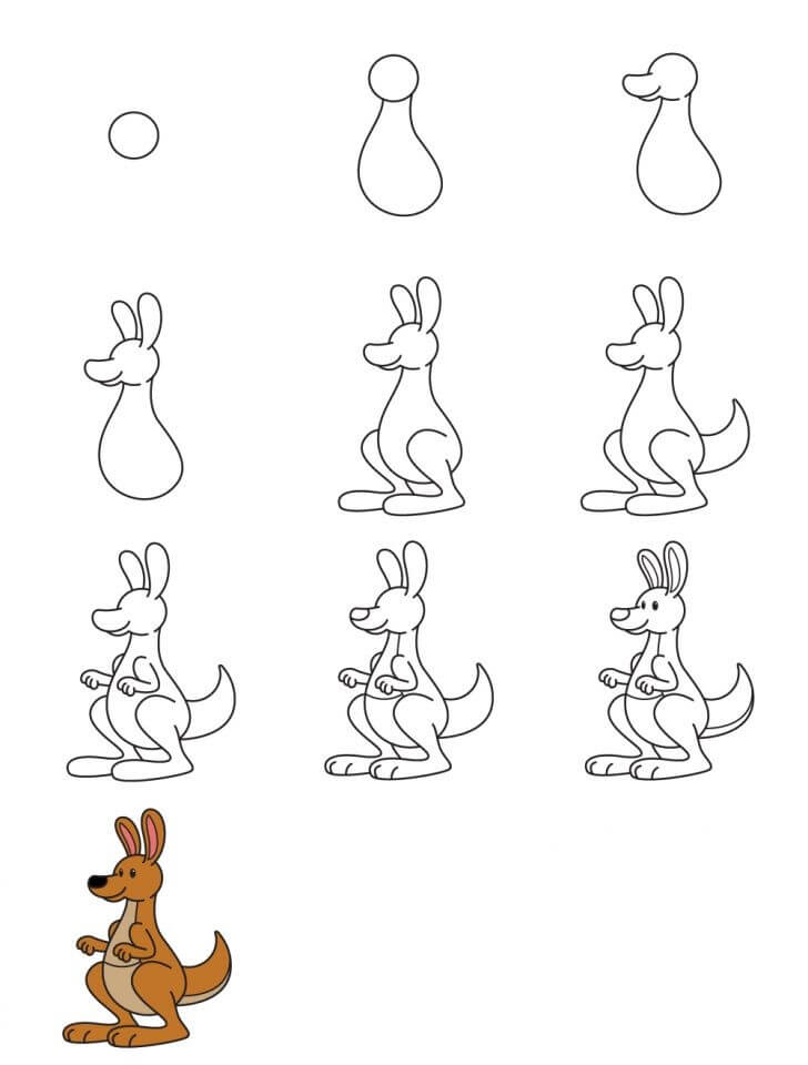 Zeichnen Lernen Känguru-Idee (2)