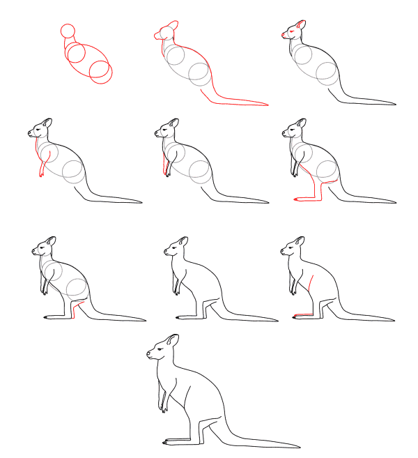 Känguru-Idee (5) zeichnen ideen