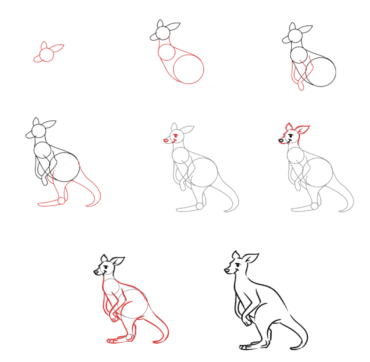 Zeichnen Lernen Känguru-Idee (7)