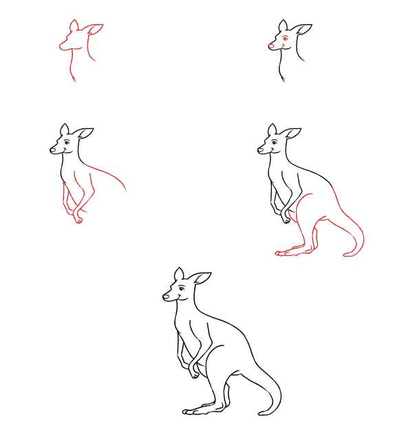 Känguru-Idee (8) zeichnen ideen