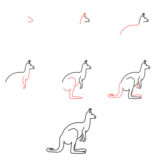 Zeichnen Lernen Känguru