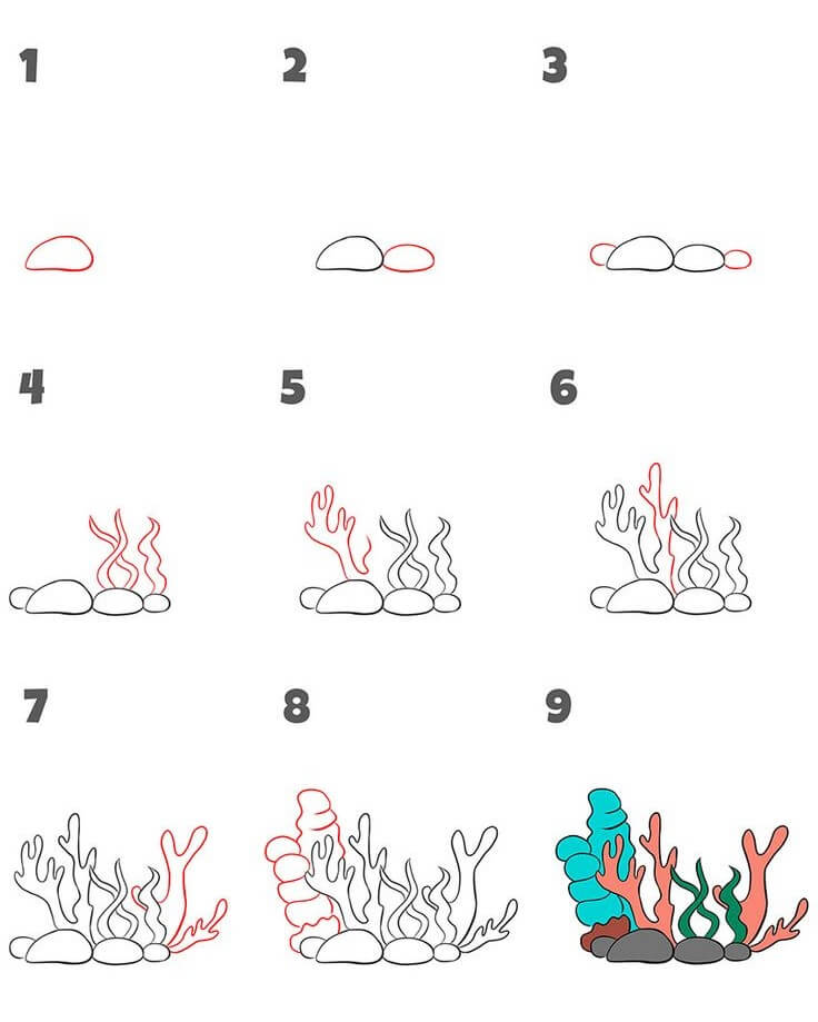 Korallenzoanthiden zeichnen ideen
