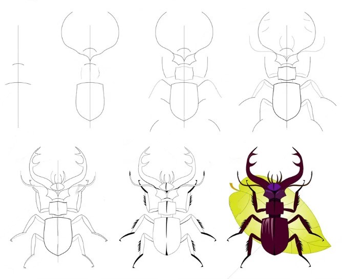 Kraftvoller Käfer zeichnen ideen