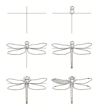Libellen-Idee (27) zeichnen ideen