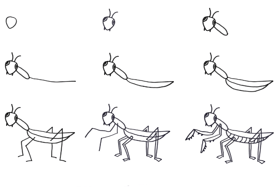 Mantis-Idee (1) zeichnen ideen