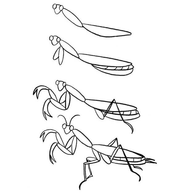 Mantis-Idee (10) zeichnen ideen