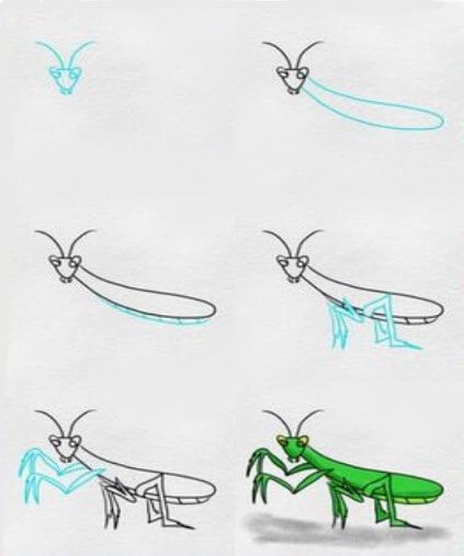 Mantis-Idee (2) zeichnen ideen