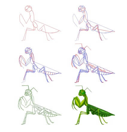 Mantis-Idee (7) zeichnen ideen