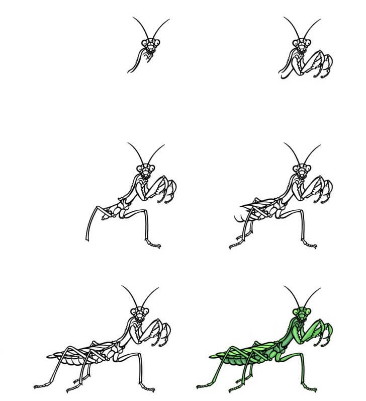 Mantis-Idee (9) zeichnen ideen