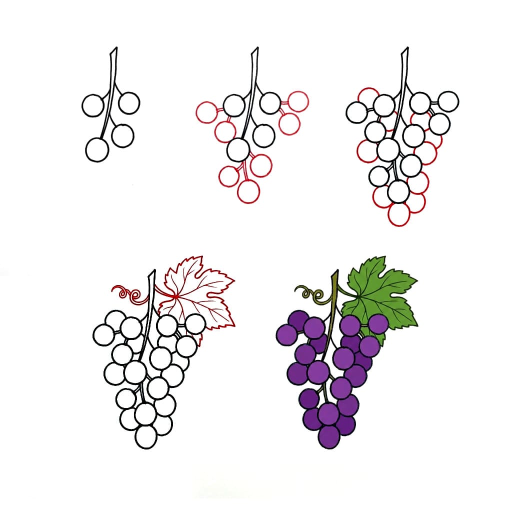 Natur Weintraube zeichnen ideen