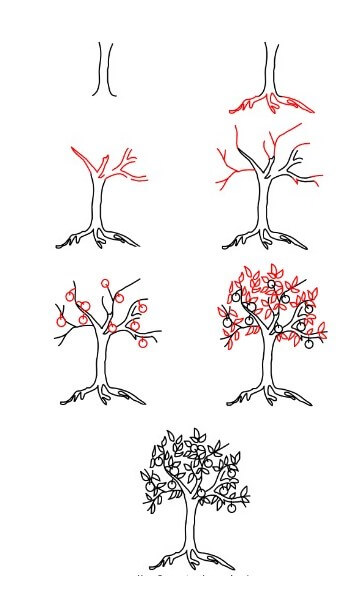 Zeichnen Lernen Obstbäume (1)