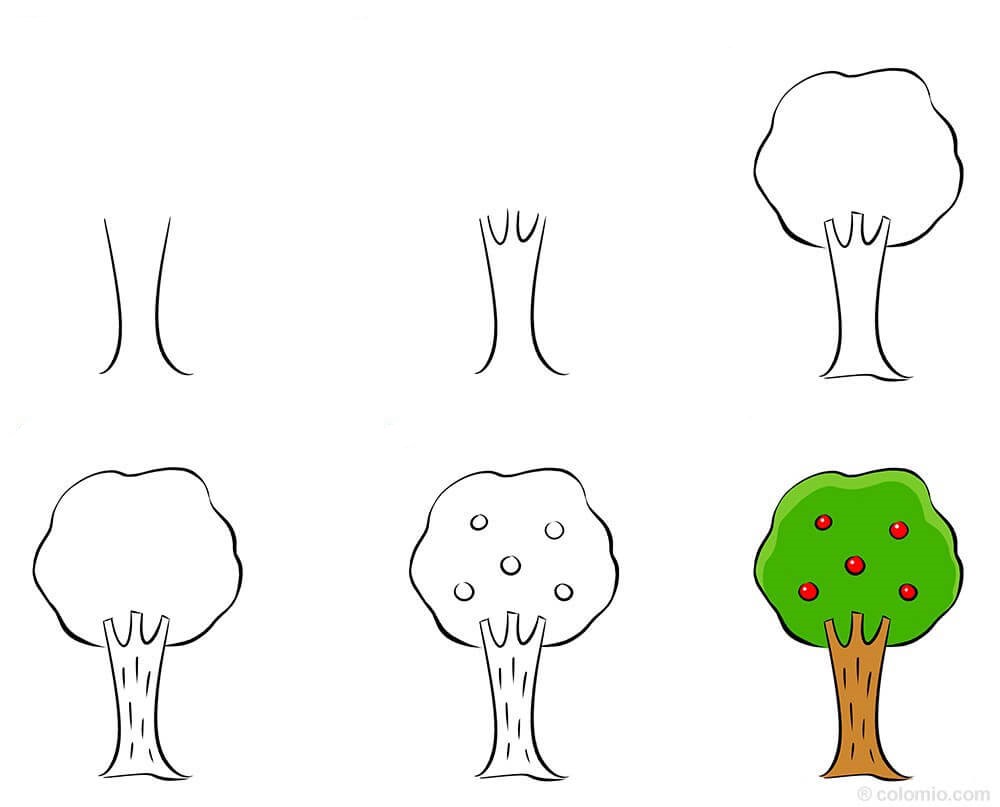Zeichnen Lernen Obstbäume (2)