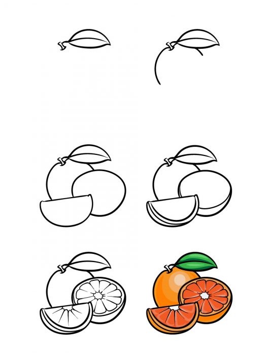 Orangen werden auf viele Arten geschnitten zeichnen ideen