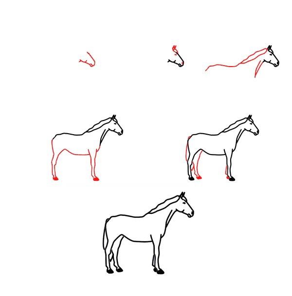 Zeichnen Lernen Pferd