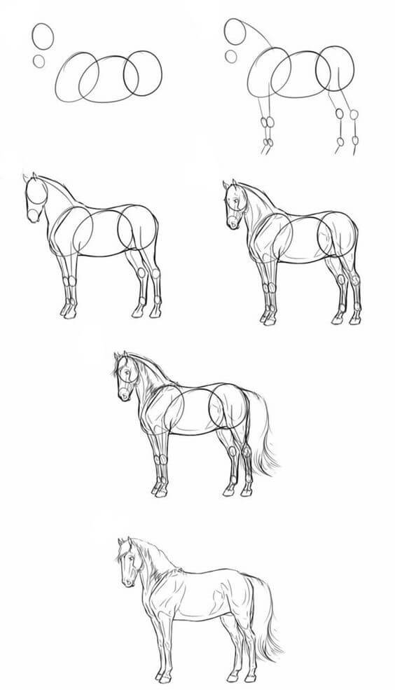 Zeichnen Lernen Pferdeidee (1)